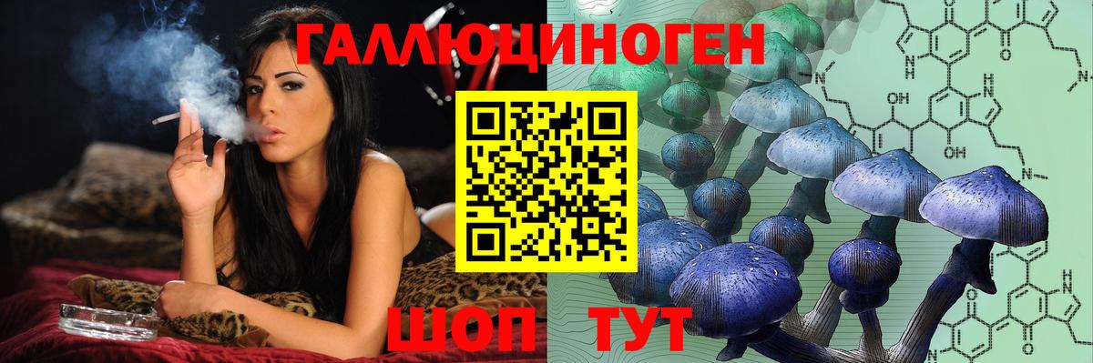 Галлюциногенные грибы Cubensis  Вход с VPN  Горячий Ключ  Галлюциногенные грибы GOLDEN TEACHER 