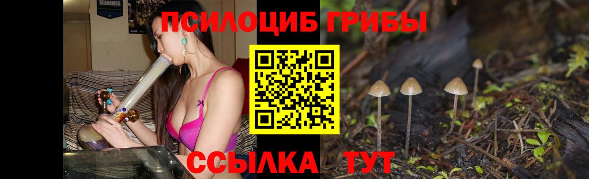 Псилоцибиновые грибы мицелий Горячий Ключ